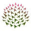 Thistle