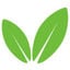 Codetree Logo
