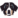 PUPS Inspections Logo
