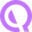 QA flow Logo