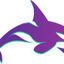 Killer Whale Icon