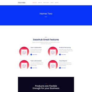 Vizo India Screenshot