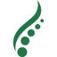 Fesera Icon