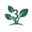 Home Insight Logo