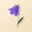 Blume