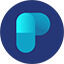 PMPReport Logo