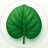PlantFocus Icon