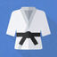 Judo AI