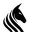 First Unicorn Startup Icon