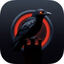 Vardyn Icon