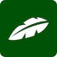 Jungle Logo