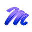 Safaytech Logo