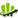 Immediate Apex Logo
