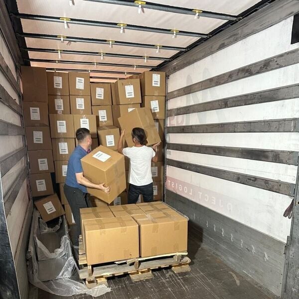 Apex Global Logistics Screenshot 6