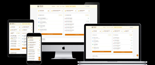APiLOG Screenshot 7