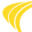 Passport Software Icon