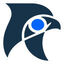 Falcon Eyes Icon