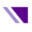 Appraisal Firewall Logo