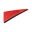 Fleetsoft Logo