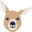 Gluroo Icon