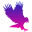 Event Hawk Icon
