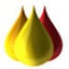MSLive