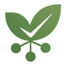 Infine Insight Logo