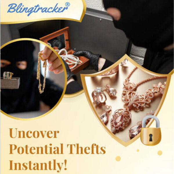 BlingTracker Solutions Screenshot 2