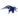 BullkyEmail Logo