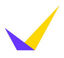 VIPR Logo
