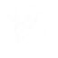Angelos Logo