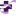 CHRISTUS Health Plan Logo