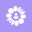 Solowise Icon