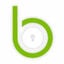 Blackpoint Logo