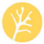 Lead Nerve Logo