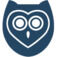 PapersOwl Logo