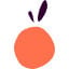 Lucky Orange Icon