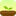 Forest Icon