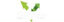GROWTH SPURTFOLIO Logo
