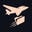 FolderCopilot Icon