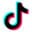 TikTok Business Center Logo