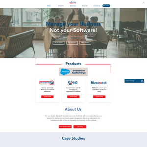 BiznusSoft Screenshot