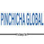 Pinchicha Global Logo