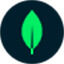 MongoDB Logo