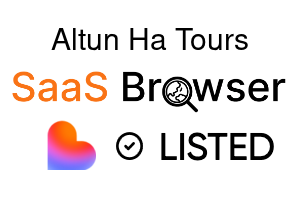 AI AutoFlow - SaaS Browser Verified Badge