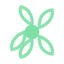 AnziBloom