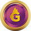 GARI Logo