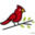 Royal Cardinal