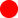 RivalCheck Logo