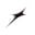 Ollie AI Logo